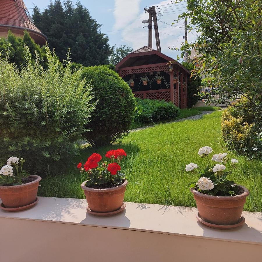 Erika Apartmanhazak Hévíz Dış mekan fotoğraf